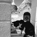 Aurasia Ostuni