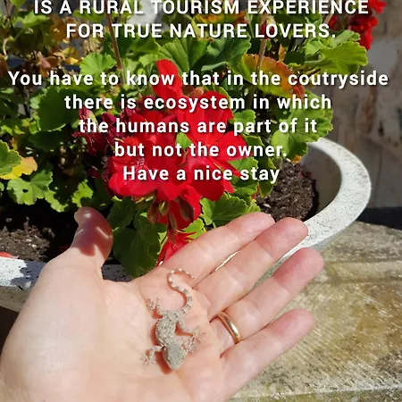 Aurasia Ostuni