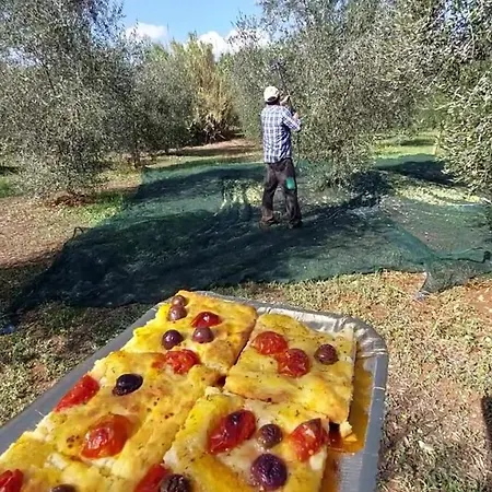 Aurasia Ostuni