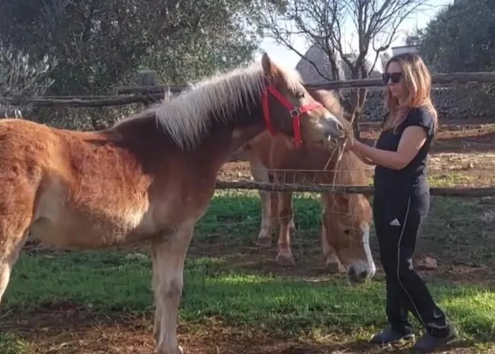 فندق مبيت وإفطار Aurasia