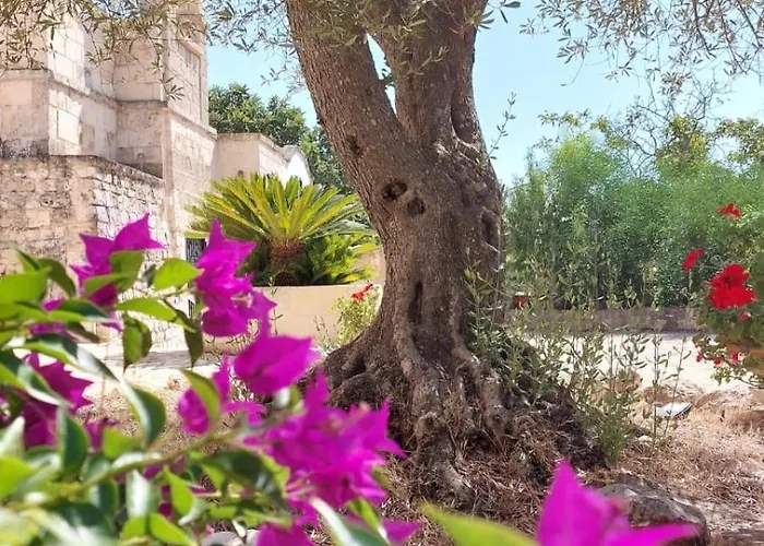 فندق مبيت وإفطار Aurasia أوستوني