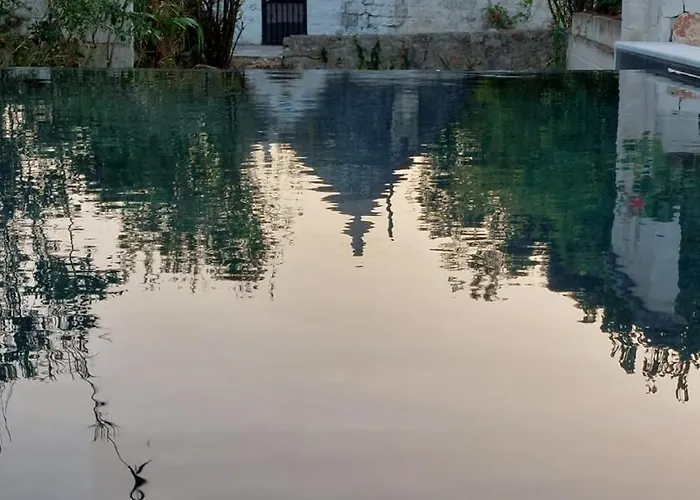 Aurasia فندق مبيت وإفطار أوستوني