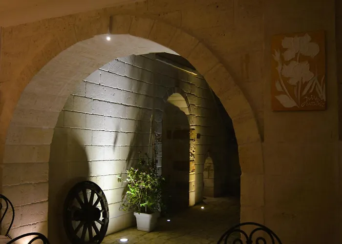 فندق مبيت وإفطار Aurasia أوستوني