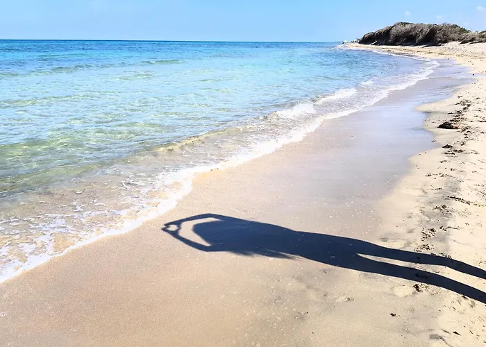 Aurasia فندق مبيت وإفطار