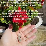 Aurasia 4* أوستوني