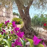فندق مبيت وإفطار Aurasia أوستوني