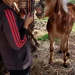 Aurasia 4* أوستوني