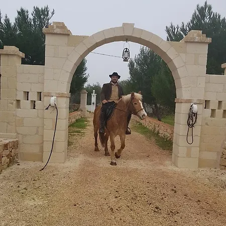 Aurasia Oda ve Kahvaltı 4*