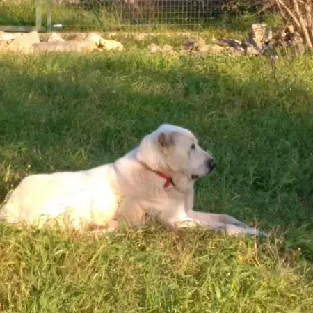 Nocleg ze śniadaniem Aurasia 4*