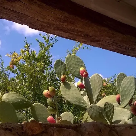 Holiday home Trulli Aurasia *