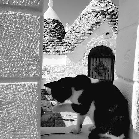 Trulli Aurasia Ostuni