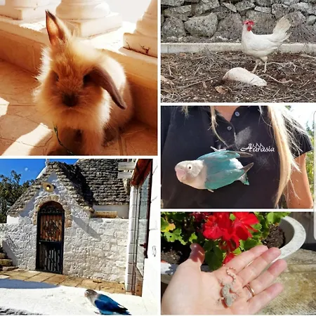Holiday home Trulli Aurasia Ostuni