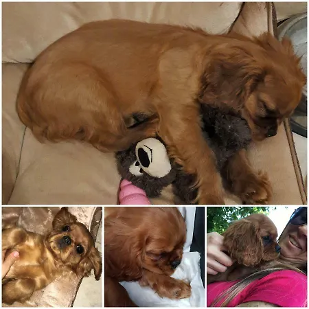 Aurasia Nocleg ze śniadaniem Ostuni