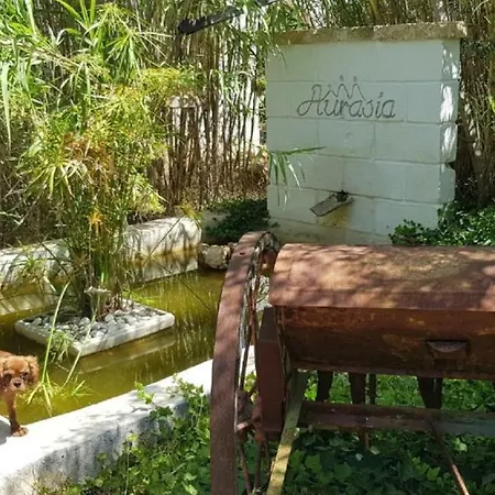 Holiday home Trulli Aurasia