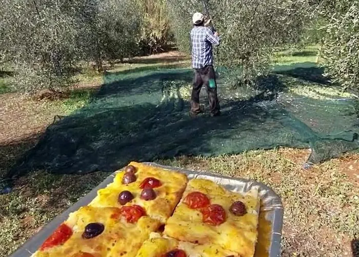 Aurasia Ostuni